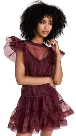 SIMKHAI Monique Organza Ruffle Sleeve Mini Dress 14 SIMKHAI Monique Organza Ruffle Sleeve Mini Dress -Agolde Store jondb3097112141 1661540318444 2 0. UX357 QL90