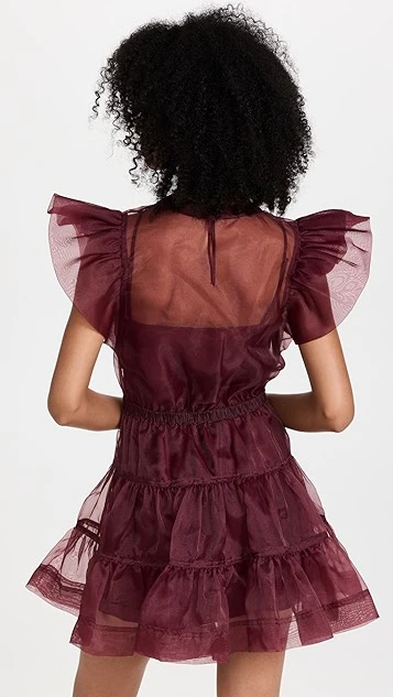 SIMKHAI Monique Organza Ruffle Sleeve Mini Dress 4 SIMKHAI Monique Organza Ruffle Sleeve Mini Dress - Image 2
